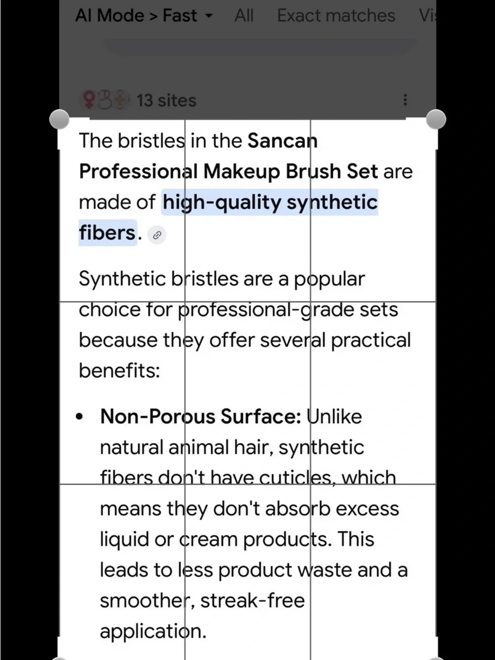 Black and Gold Professional Makeup Brush Set